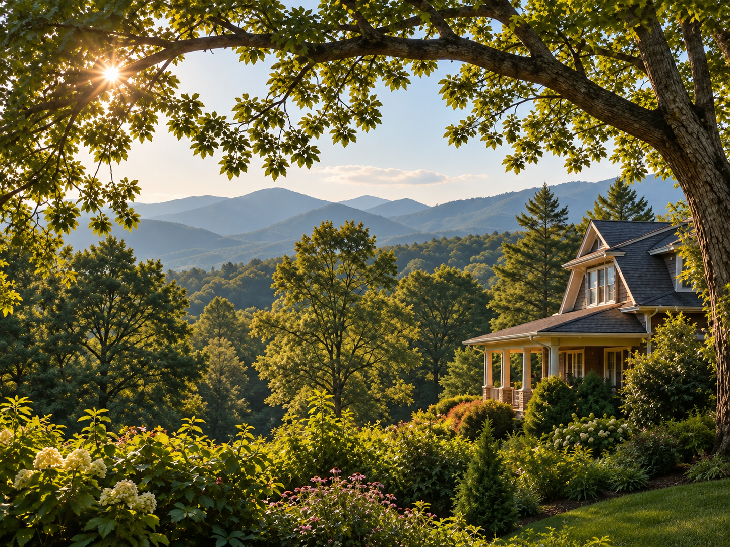 Mature tree beside an Asheville home.